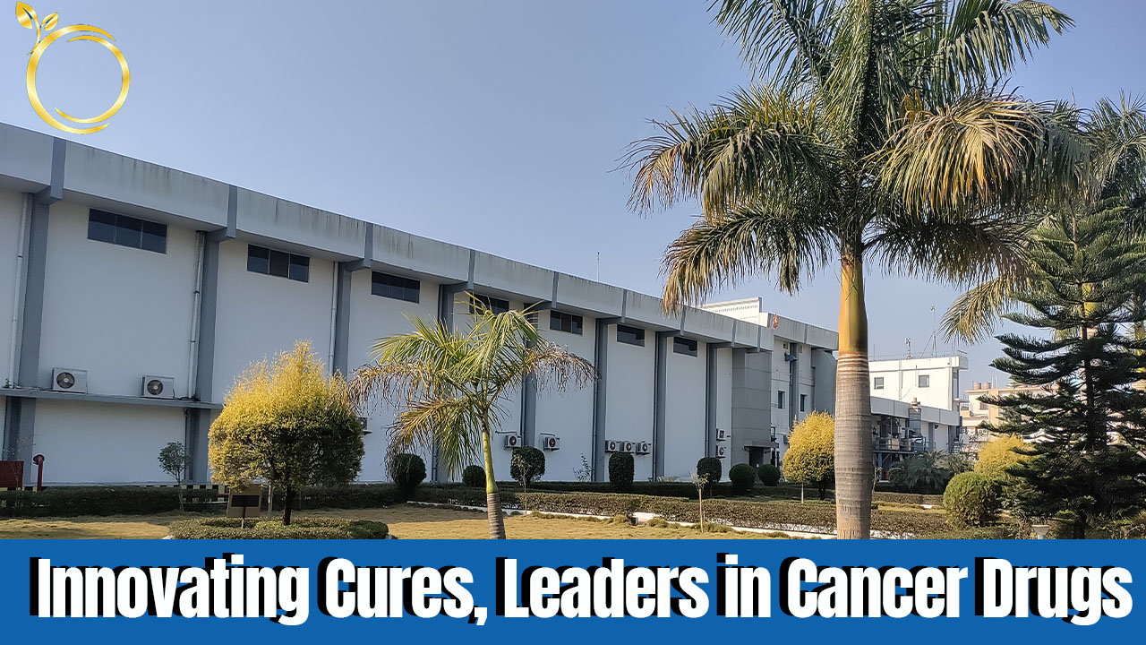 Anti-Cancer Medicine Manufacturers